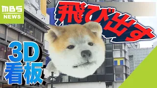 道頓堀で『巨大な秋田犬』が飛び出す３Ｄ看板！かに道楽の店長も「新旧でいいかなと」（2023年6月28日）