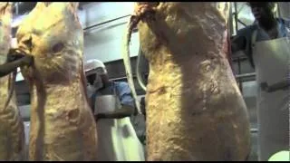 Abattoir - The slaughtering process