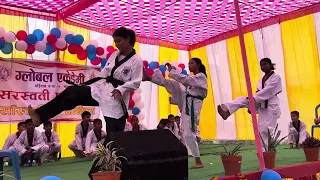 Dangerous!!!Tekwondo Dance, Performed at Global Academy on the occassion of Saraswoti Puja.