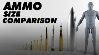 Ammunition Size Comparison