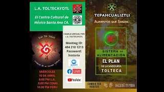 Tepahcualiztli , Alimentos que Sanan ,Sistema de Alimentacion , El Plan de la Sabiduria Tolteca