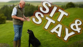 Getting Your Dog to Sit and Stay