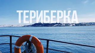 ТЕРИБЕРКА. Что там на русском севере? Киты в Баренцевом море