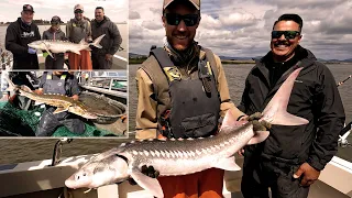 CA Delta Sturgeon (Plus Trammel Netting With The CDFW)