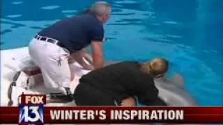 Linda Griffin News Channel 13 Winter the Dolphin