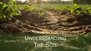 Mark 4:1-24 - Understanding the Soil