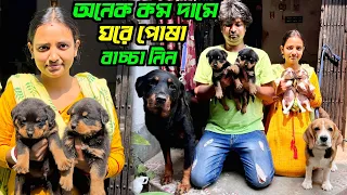 Home Breed Puppies Sell। Rottweiler & Beagle Puppies Sell Low Price। Dog Market Kolkata।