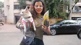 Qayamat ka Din | Dogs Vaccination Day | Ss vlogs :-)