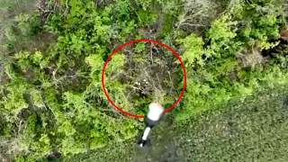 Drones Drops Grenade On Ammunition Pile Hiding Below Trees