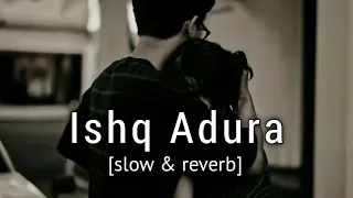 Ishq Adhura Duniya Adhuri khwahish Meri Kr Do Puri  | slow + reverb|