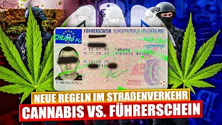 Revolution im Straßenverkehr: Neue Cannabis-Regelung ab April 2024! | 2023 | ON MPU