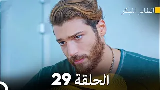 مسلسل الطائر المبكر الحلقة 29 (Arabic Dubbed)