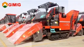 Two rows crawler type corn harvester, crawler maize harvester manufacturer in China