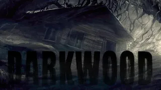 Lost In the Darkwood - Ambient Sounds / Music - [3 Hours]