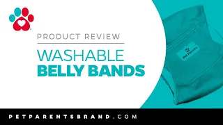 Pet Parents® Washable Belly Bands Review