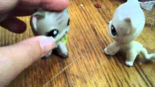 Lps popular episode 3