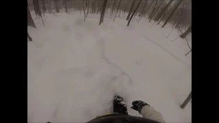 Snowshoe 36" Powder Day