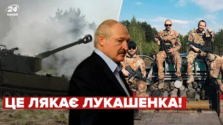 Лукашенко в паніці! Білоруські добровольці мають свої плани після війни