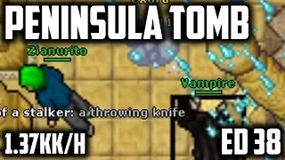 ED 38 PENINSULA TOMB - 1.37KK/H - BEST places to hunt for MAGES