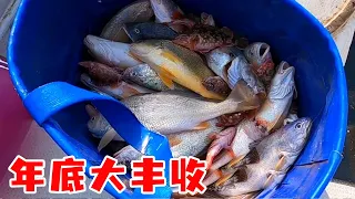 Ajie returned  found barrel burst by fish haul  confirming catch abundance. [Islander Ajie]
