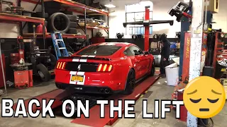 Eibach Pro-Kit lowering Spring Review