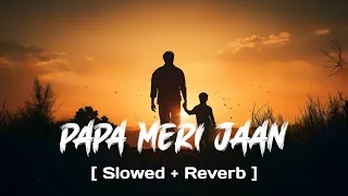 Papa Meri Jaan (Slowed + Reverb) | Ranbir Kapoor | Anil K, Rashmika M | Sonu Nigam | Animal | Lofi