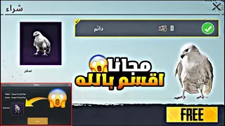 كيفية الحصول على الصقر مجانا 😱طريقة الحصول على الصقر مجانا 2023 🔥 ثغرة سرية