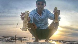 Fishing Mantis Shrimp and Catch  In Remote Island Sumenep Indonesia