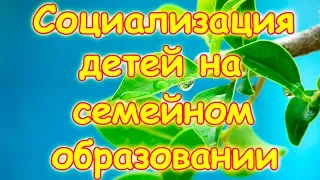 Семья Бровченко. Социализация "не садиковских" детей и деток на семейном образовании.