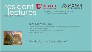 Optic Nerve Pathology