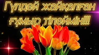 Туған күнге тілек💐Туған күнге құттықтау💐Туған күніңізбен.