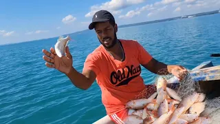 🇯🇲SNAPPER NEW YEAR! GREAT START🇯🇲🇯🇲