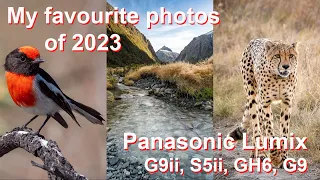 My favourite WILDLIFE AND LANDSCAPE photos of 2023 - shot on PANASONIC LUMIX G9ii, S5ii, GH6, G9