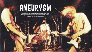 Nirvana Aneurysm Backing Track For Guitar With Vocals