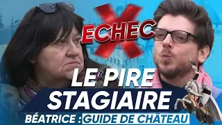 Le Pire Stagiaire : le piège a échoué ! (la guide de château)