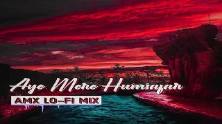 Mere Humsafar Full AUDIO Song | Mithoon, Tulsi Kumar | All Is Well |   AMX Lo Fi Remix  RAJXAIVER