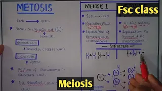 Meiosis | Cell Division | Class 12 Biology