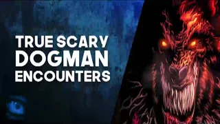 13 DOGMAN STORIES   SCARY TRUE DOGMAN ENCOUNTERS