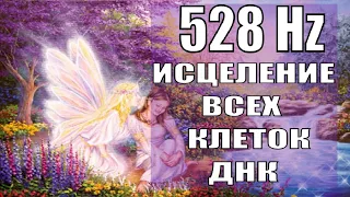 528 Гц🎇Код Исцеления ДНК и Поврежденных Органов🎇Исцеление Звуком