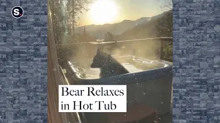 Jacuzzi Time! Bear Relaxes in Hot Tub in Great Smoky Mountains