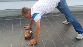 Liegestütze -  Push-Up-Polish style