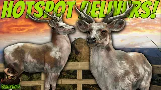 Double Piebald Rusa Deer & Lots Of Max Levels From INSANE HOTSPOT On Emerald Coast! Call of the wild