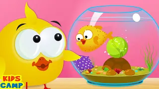 Fish Pot Fun Game With Lucky Ducky 🐡 🎾 | Funny Videos For Kids By KidsCamp