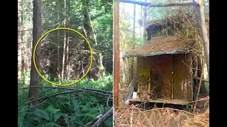 A Ranger Found an Abandoned Cabin Hidden in the Woods. What Was Inside Is Seriously Creepy