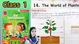 THE WORLD OF PLANTS☘️, Class 1(Chapter 14 ) # Lets explore our environment # E.V.S