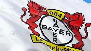 Paderborn vs Leverkusen - 1:4