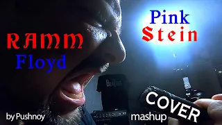 RammFloyd (PinkStein) 🤟😬 COVER 🎸 by Pushnoy