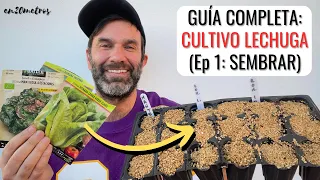 GUÍA DE CULTIVO LECHUGAS: cómo sembrar lechuga (Ep 01) || en20metros