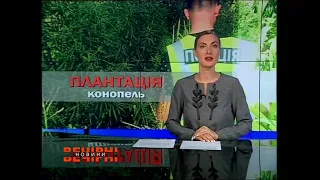 Правоохоронці Харківщини виявили плантацію конопель
