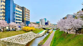 [4K] 경기도 남양주시 별내동 산책 Korea Seoul Byeollae-dong, Namyangju-si, Gyeonggi-do walk